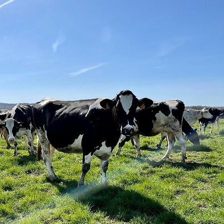 Chambre A La Ferme Precy-le-Sec Eksteriør billede
