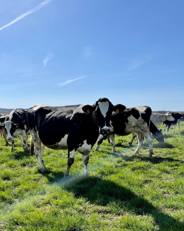 Chambre A La Ferme Precy-le-Sec Eksteriør billede